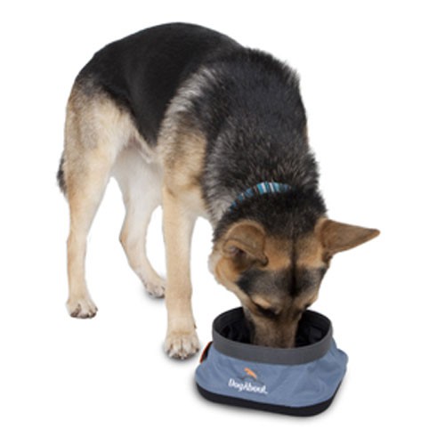 Classic Pet Dogabout Slate Travel Bowl - 6 CS